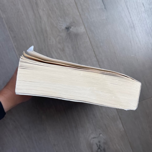 💙BOGO💙 The Goldfinch by Donna Tartt Paperback - Picture 3 of 4